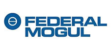 FEDERAL-MOGUL FEDERAL-MOGUL